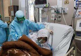 کرونا جان ۱۴۶ نفر دیگر را گرفت | آمار مبتلایان هنوز بالای ۱۶ هزار نفر