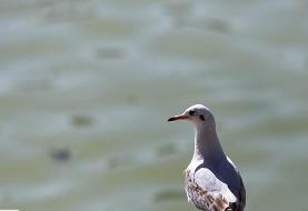 جو اکثر مناطق کشور صاف وپایدار خواهد بود