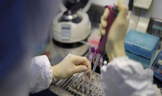 آیا کرونا می تواند قدرت باروری را کاهش داد/ واکنش به تزریق واکسن