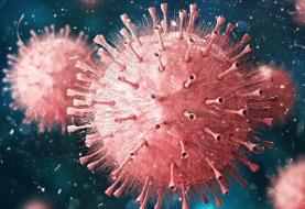 آیا ابتلا به کرونا باعث کاهش قدرت باروری آقایان می‌شود؟