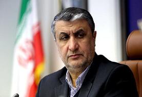 پیام تسلیت رئیس سازمان انرژی اتمی در پی درگذشت حسن فیروزآبادی