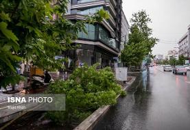 بارش باران و کاهش تدریجی دما در نوار شمالی کشور