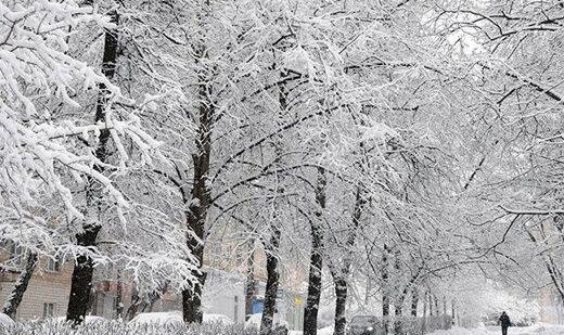 فیروزکوه ۱۱ درجه زیر صفر | پیش‌بینی هوای تهران در هفته جاری