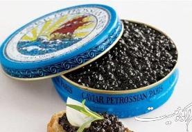 صادرات ۵.۵ تنی خاویار به ۳۳ کشور جهان