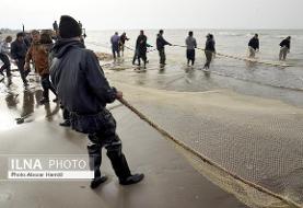 تمدید ممنوعیت صید تجاری ماهیان خاویاری خزر