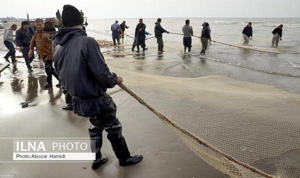 تمدید ممنوعیت صید تجاری ماهیان خاویاری خزر