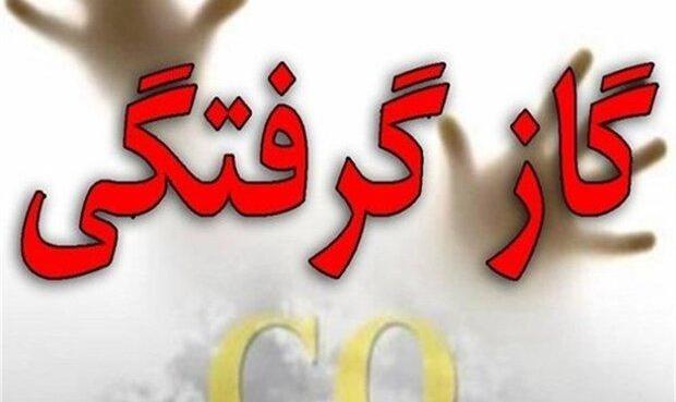 ۱۴ نفر در پایتخت دچار گازگرفتگی شدند