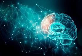 یک تکنیک جدید برای خواندن افکار انسانها