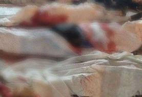 تسنیم: عاملین حادثه تروریستی شیراز ایرانی نیستند