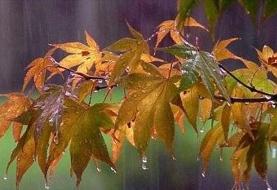 هواشناسی ۱۳ مهر ۱۴۰۱/ باران در شمال، گردوخاک در غرب