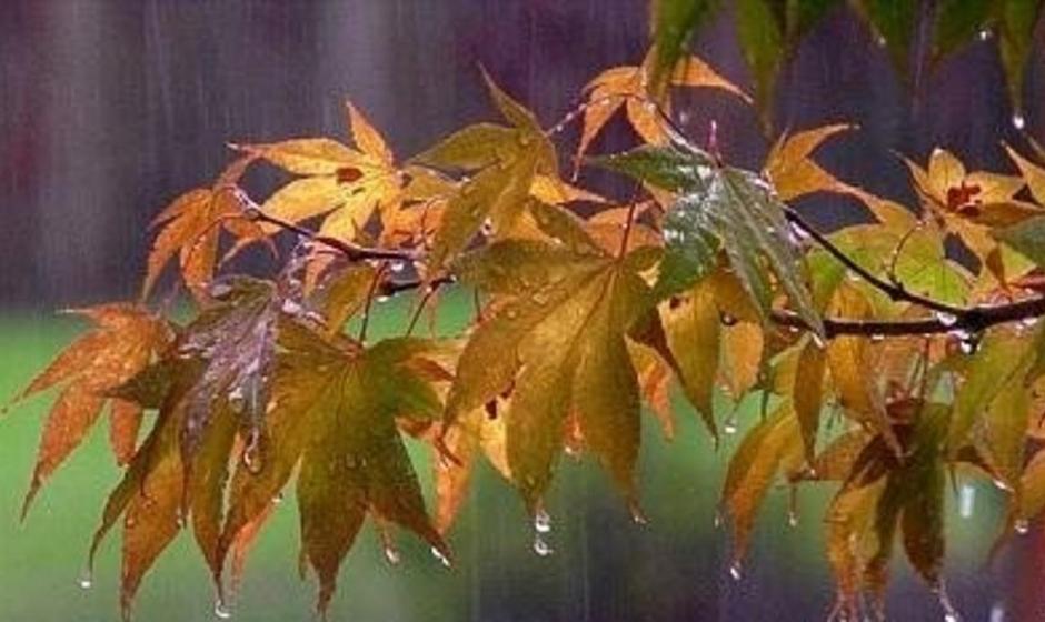 هواشناسی ۱۳ مهر ۱۴۰۱/ باران در شمال، گردوخاک در غرب