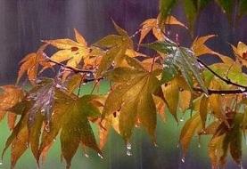 هواشناسی ۱۵ مهر ۱۴۰۱/ بارش باران در برخی استان‌ها