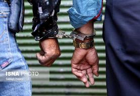 مرد درخت دزد دستگیر شد/ تیراندازی پلیس برای بازداشت زوج سارق
