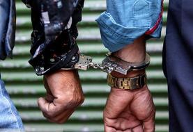 مرد درخت دزد دستگیر شد/ تیراندازی پلیس برای بازداشت زوج سارق