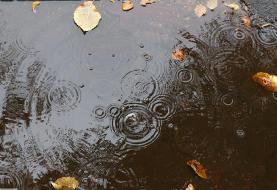 بارش برف و باران در برخی استانها تا پنجشنبه