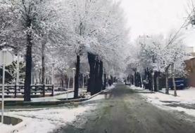 پیش بینی برف و کولاک در ارتفاعات/ احتمال سقوط بهمن