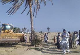 عکس | ساحل دَرَک دوباره نخل دار شد