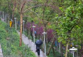 رگبار‌های بهاری طی هفته اول فروردین ماه در تهران