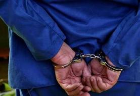 مالخر تابلوهای راهنمایی و رانندگی در چیتگر دستگیر شد