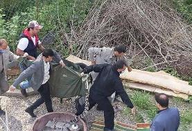 جزئیات تازه از پلنگ پرماجرای قائمشهر | ۲ مامور نیروی انتظامی زخمی شدند | این پلنگ مالک شخصی دارد؟