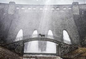 فیلم زندگی یک الاغ برنده هیات داوران کن شد