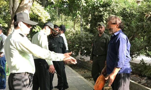 از توقیف تجهیزات پزشکی قاچاق تا جمع آوری ۱۲۷ معتاد متجاهر