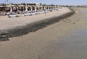 Egypt: Red Sea beaches close after deadly shark attack