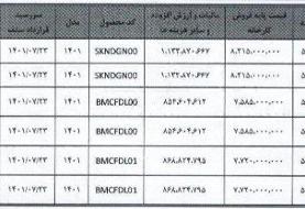 جزئیات عرضه خودروهای دیگنیتی و فیدلیتی در بورس کالا | قیمت و شرایط فروش