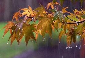 بارش باران در شمال کشور/ نفوذ توده گردوخاک به نوار غربی