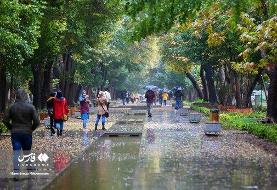 این استانها بارانی میشوند