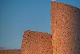 شکار ماه کامل از پنجره فالکون ۹/ فیلم