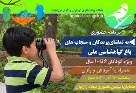 در پایتخت به تماشای پرندگان و سنجاب‌ها بروید