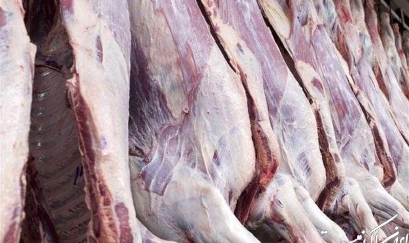 گوشت گرم وارداتی از هفته آینده در میادین عرضه می‌شود