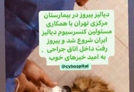 دیالیز «پیروز» شروع شد