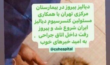 دیالیز «پیروز» آغاز شد