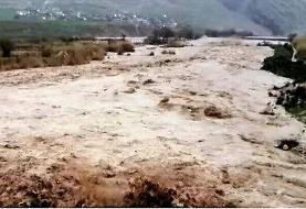 مناطق جنوب، جنوب شرق و غرب لرستان در معرض سیل قرار دارند 