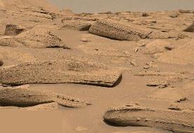 شکار استخوان‌های اژدها در مریخ!/ عکس