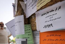 انتشار آمار رسمی وضعیت بازار کار ۱۴۰۱