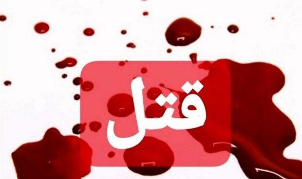 دستگیری عامل قتل در جنوب تهران