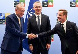 رجب طیب اردوغان از پیوستن سوئد به ناتو حمایت کرد