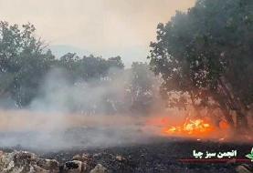 آتش‌سوزی مریوان «عمقی است و ۲۰۰ هکتار طعمه حریق شده»