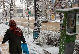 هواشناسی ۴ بهمن ۱۴۰۲/ بارش برف و باران در بیشتر استان‌ها