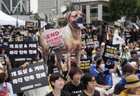 بالاخره صنعت گوشت سگ در کره جنوبی ممنوع شد