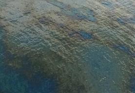 آلودگی شدید نفتی پیرامون پایانه نفتی خارک