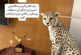 جای حیوانات تاکسیدرمی در اتاق‌ مدیران و کارشناسان نیست