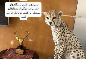 انتقال تاکسیدرمی یوز از اتاق معاون رئیس‌جمهور