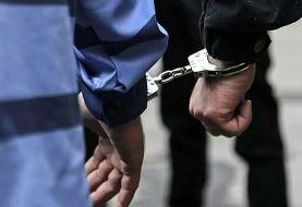 (ویدیو) ماجرای دروغگوی مجازی «تهران خونین»؛ از کشف چهار سر در پارک تا فروش گوشت انسان