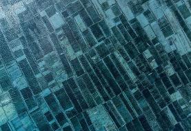 این غذای آخرالزمانی نجات‌بخش می‌شود