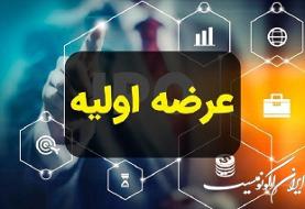فرابورس/ شرایط بحرانی بورس موجب لغو عرضه های اولیه شد.