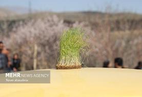 برخورد پلیس با تخلفات ساکن در روز طبیعت